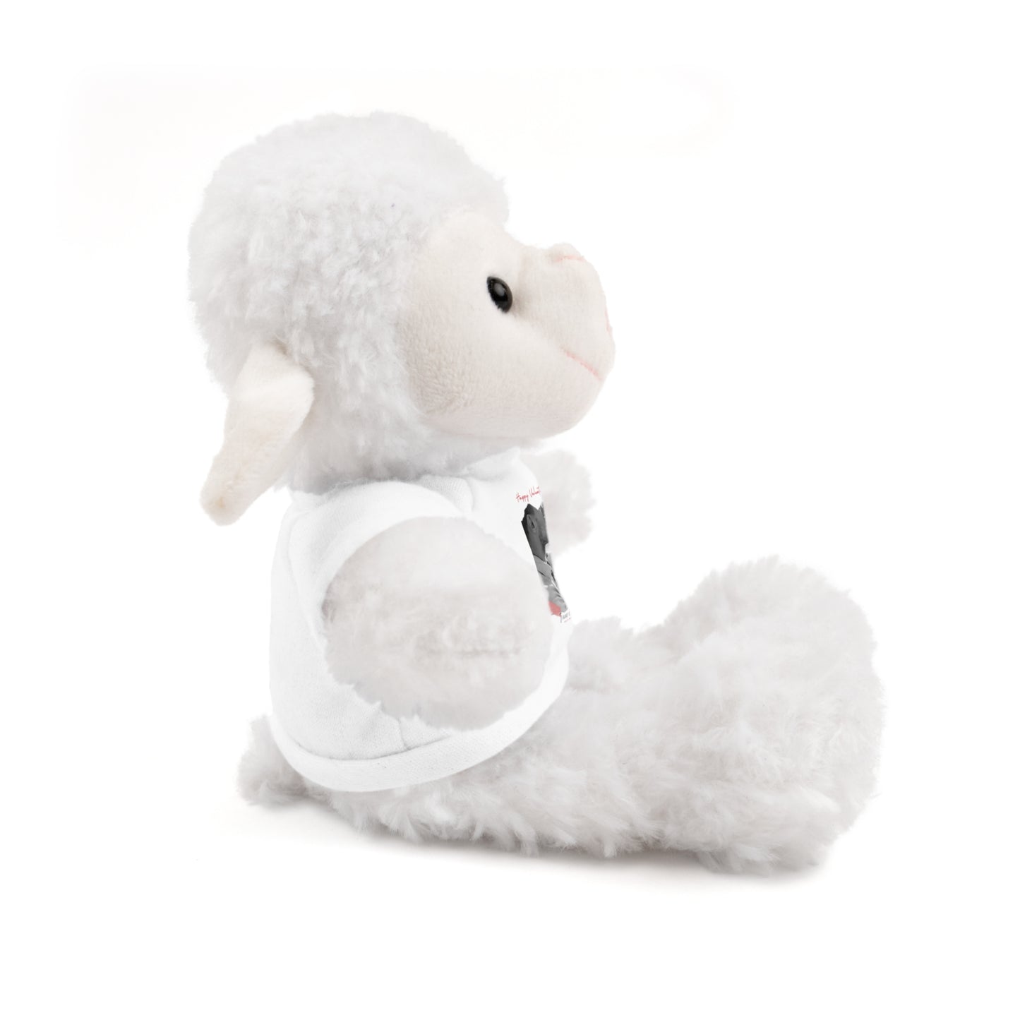 Personalize Your Name And Photo | Valentine Stuffed Animals with Tee