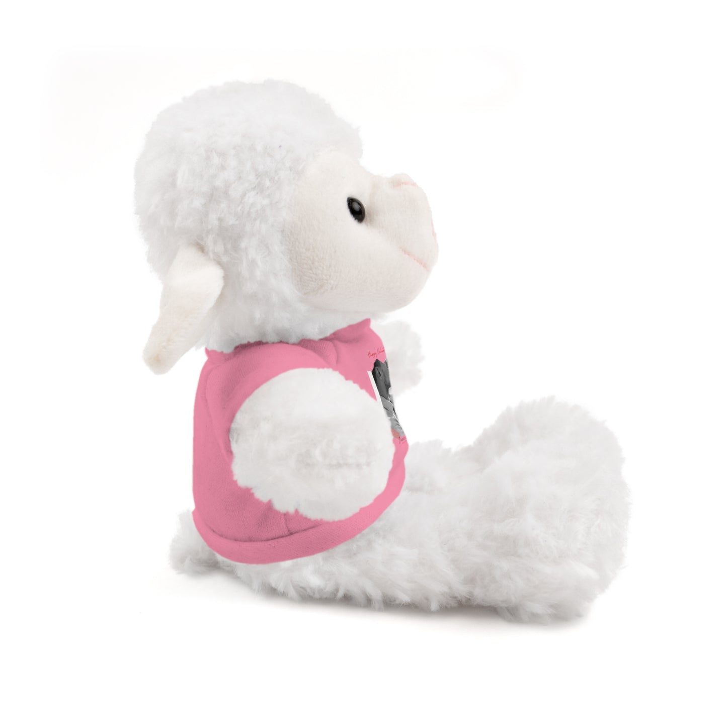 Personalize Your Name And Photo | Valentine Stuffed Animals with Tee