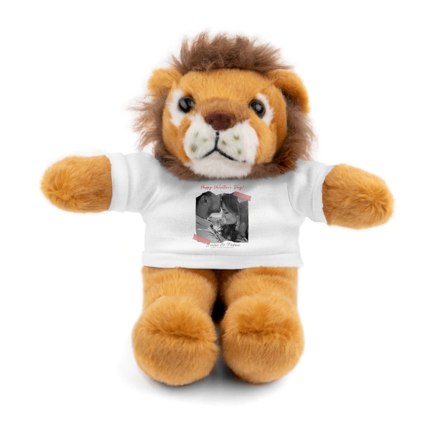 Personalize Your Name And Photo | Valentine Stuffed Animals with Tee