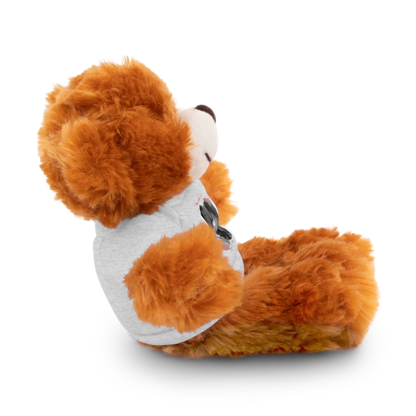 Personalize Your Name And Photo | Valentine Stuffed Animals with Tee