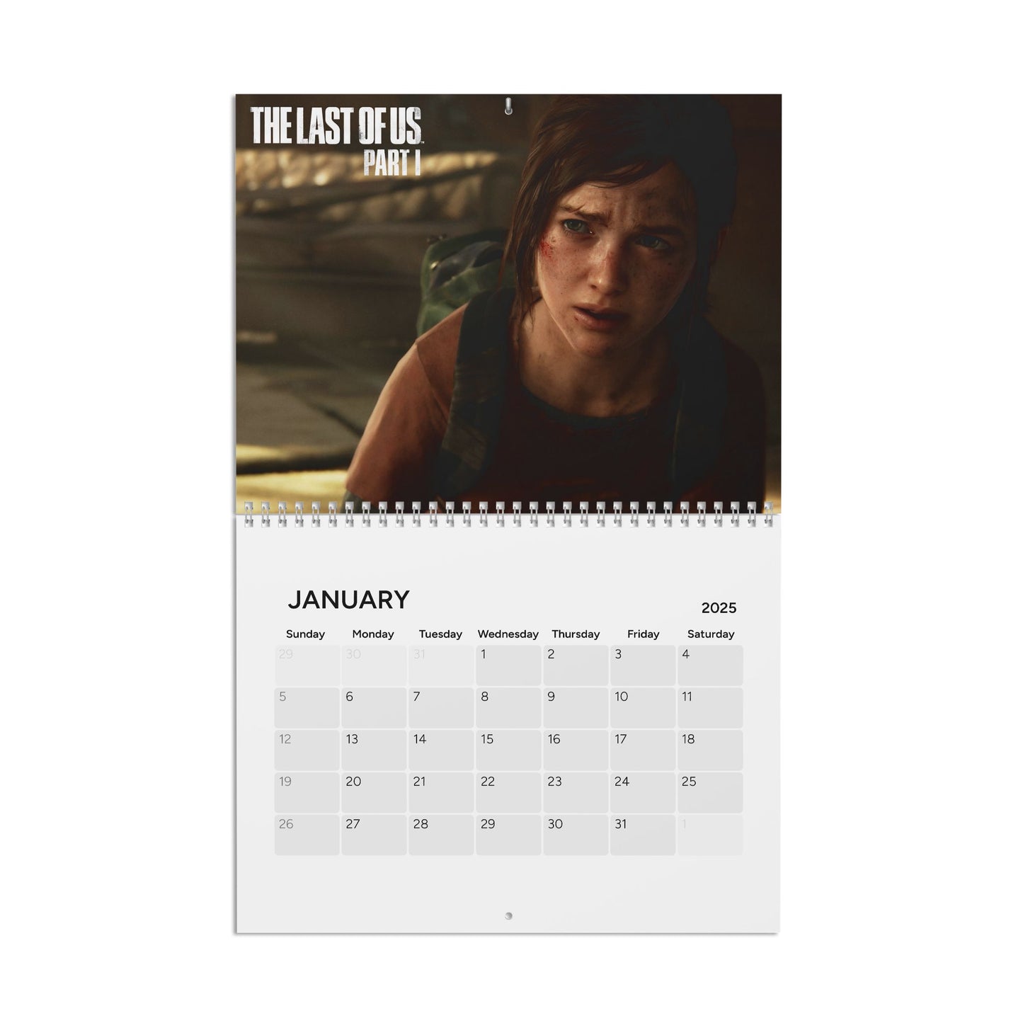 The Last Of Us  2025 Calendar, Video Game Calendar, 2025 Calendar, Wall Calendar, Desk Calendar,  Gift, Gaming Gift, Gamer Decor, Video Game