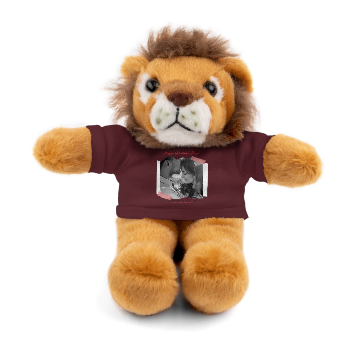 Personalize Your Name And Photo | Valentine Stuffed Animals with Tee