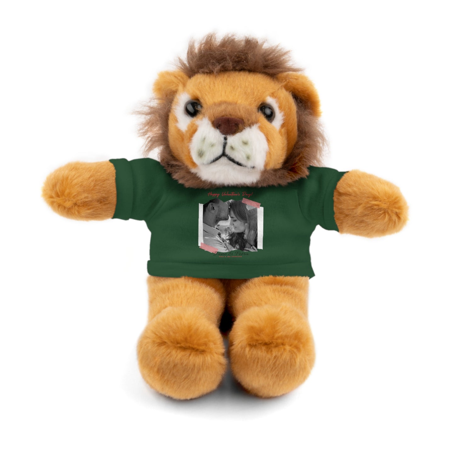 Personalize Your Name And Photo | Valentine Stuffed Animals with Tee