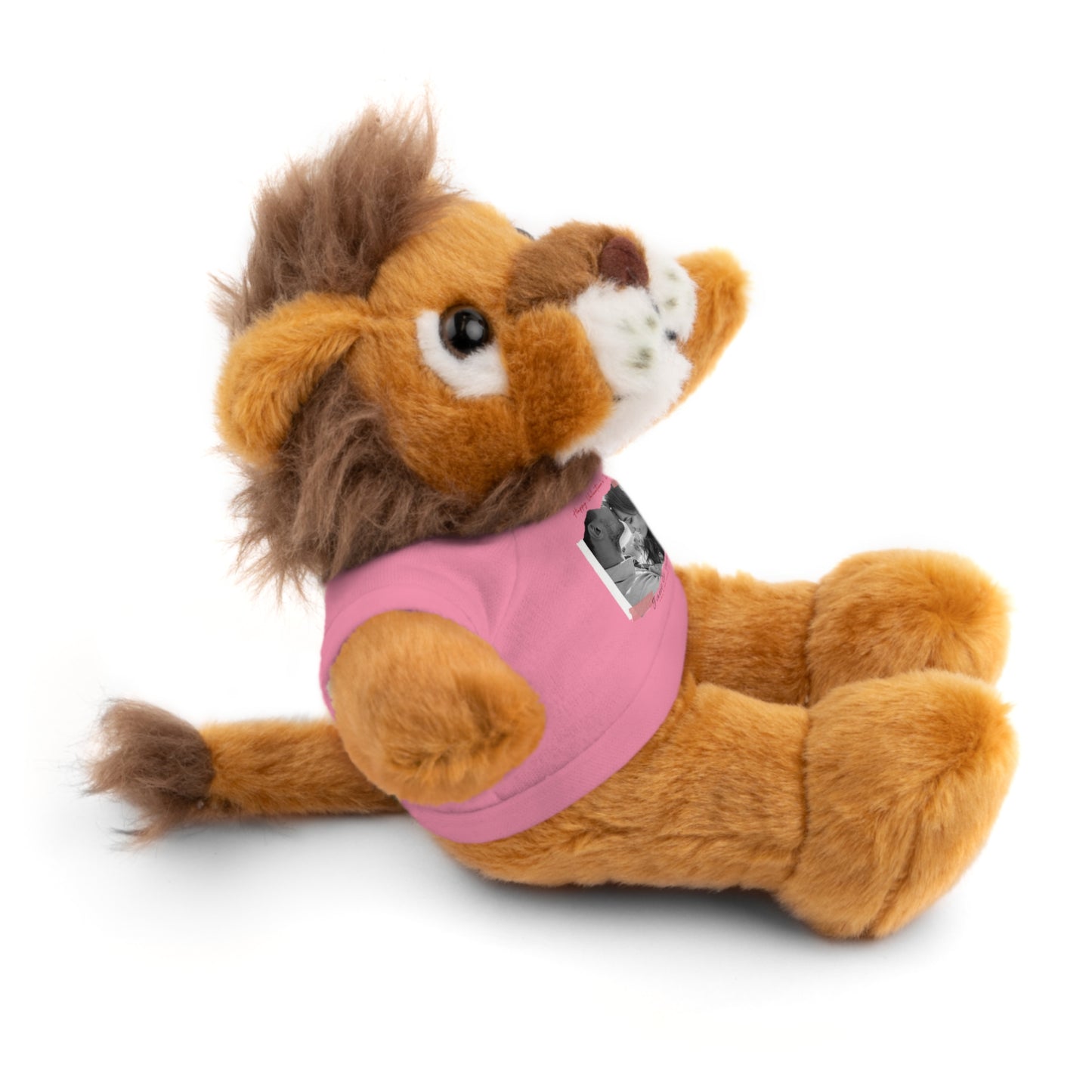 Personalize Your Name And Photo | Valentine Stuffed Animals with Tee