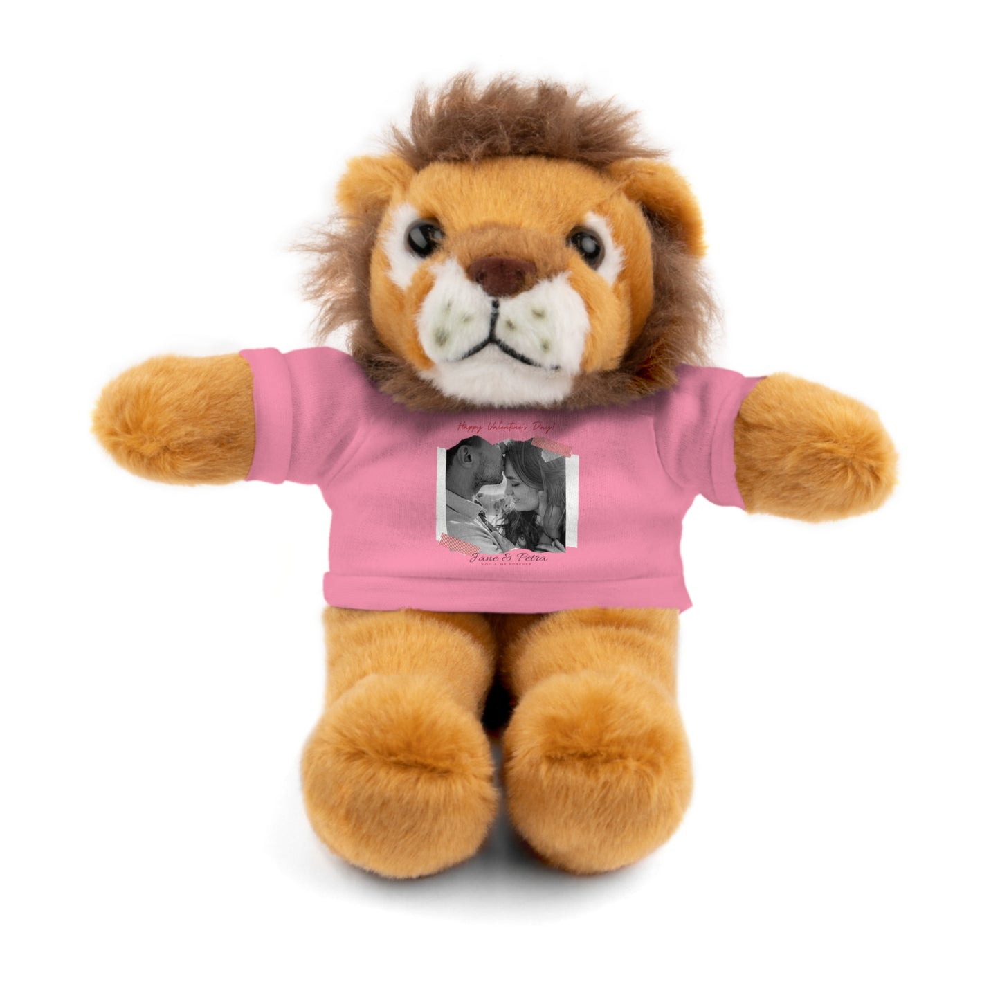 Personalize Your Name And Photo | Valentine Stuffed Animals with Tee