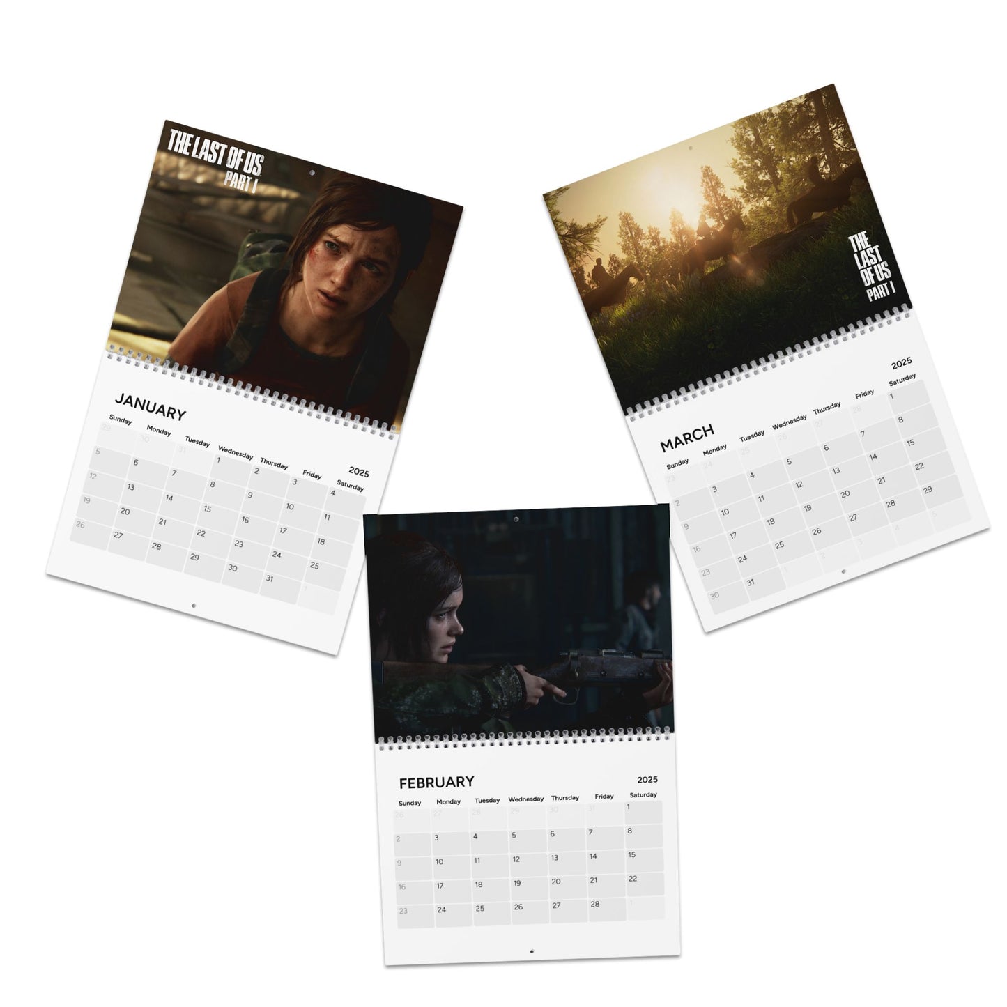 The Last Of Us  2025 Calendar, Video Game Calendar, 2025 Calendar, Wall Calendar, Desk Calendar,  Gift, Gaming Gift, Gamer Decor, Video Game