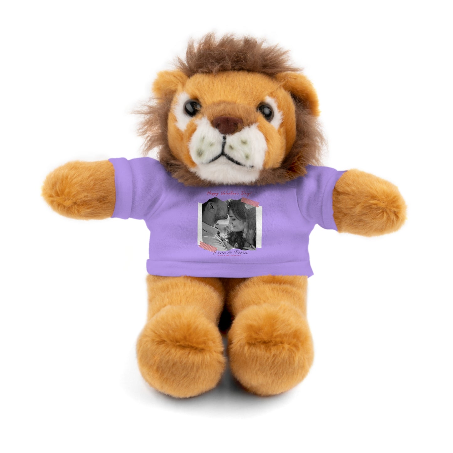 Personalize Your Name And Photo | Valentine Stuffed Animals with Tee