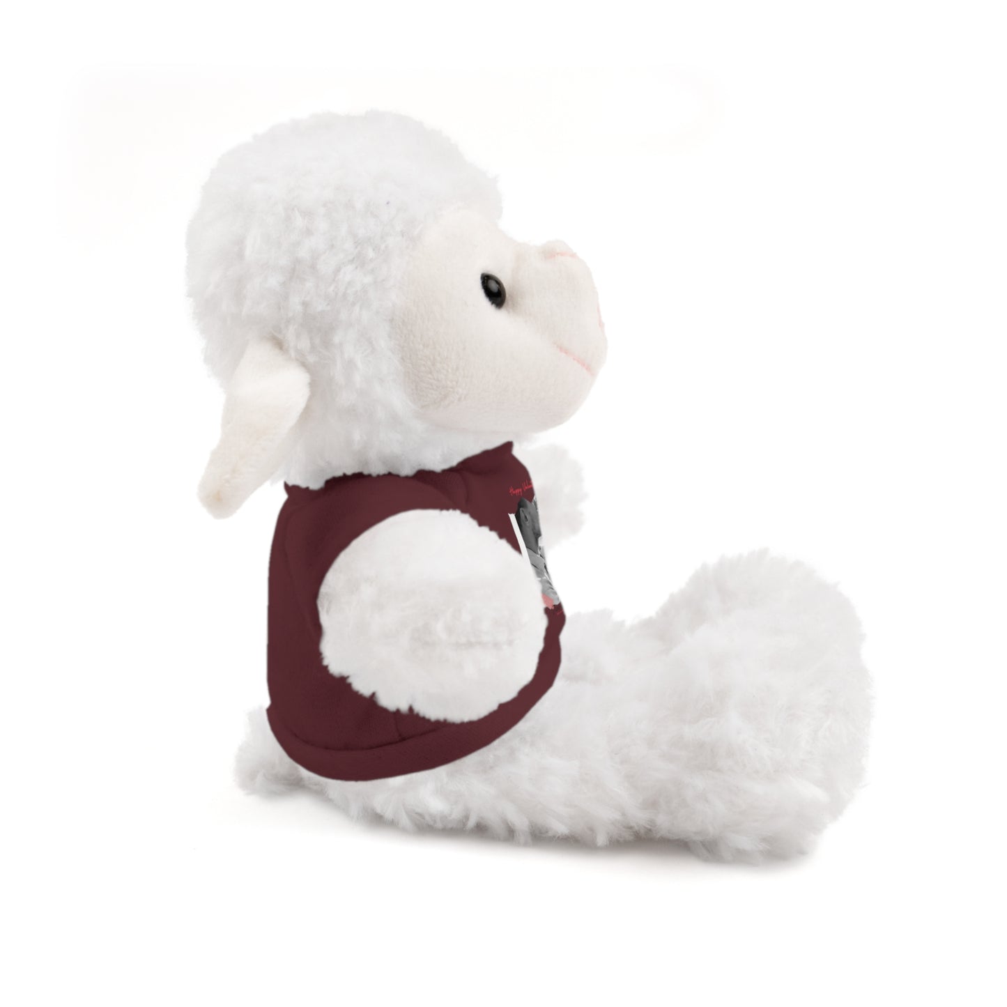 Personalize Your Name And Photo | Valentine Stuffed Animals with Tee