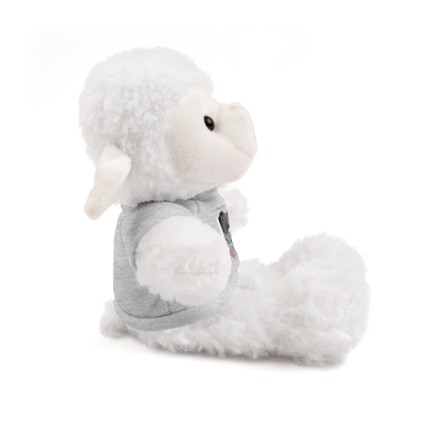 Personalize Your Name And Photo | Valentine Stuffed Animals with Tee