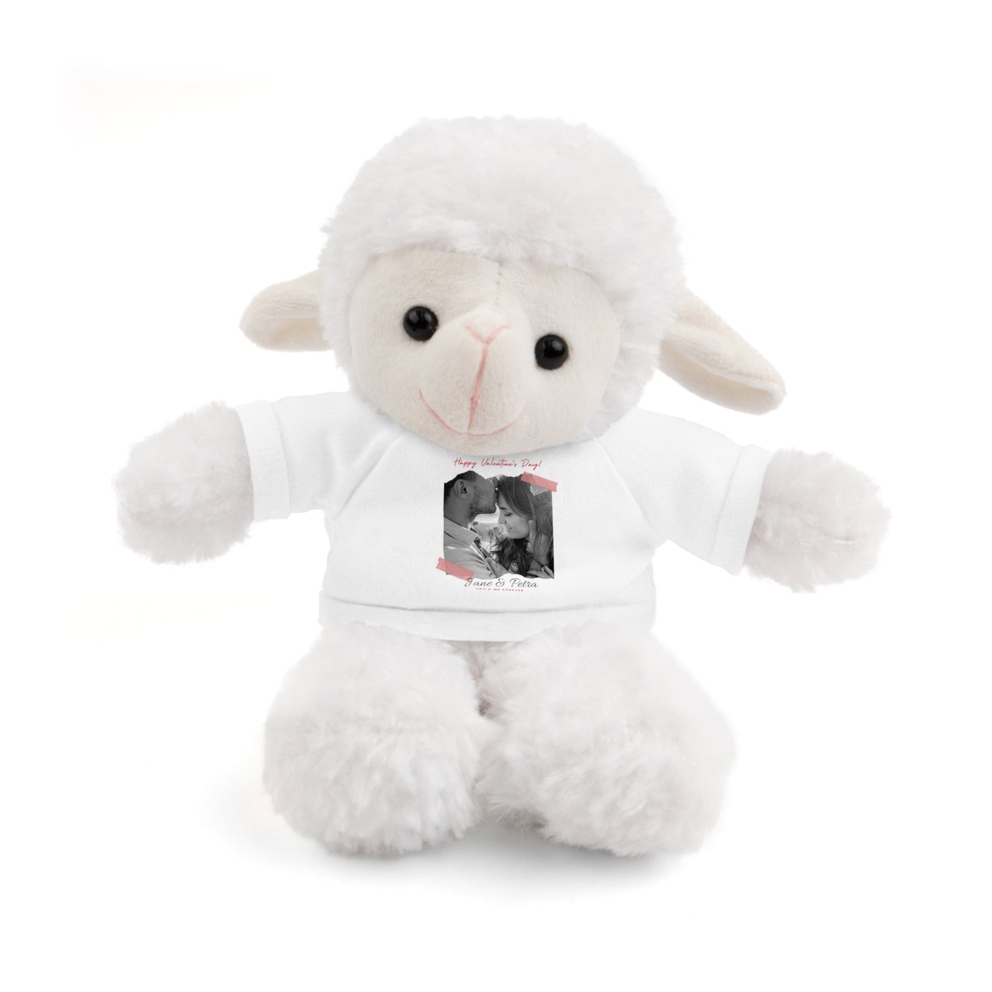 Personalize Your Name And Photo | Valentine Stuffed Animals with Tee