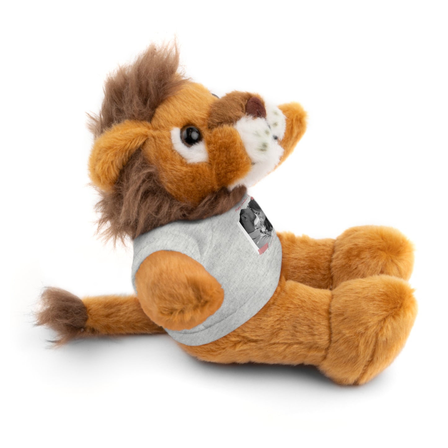 Personalize Your Name And Photo | Valentine Stuffed Animals with Tee