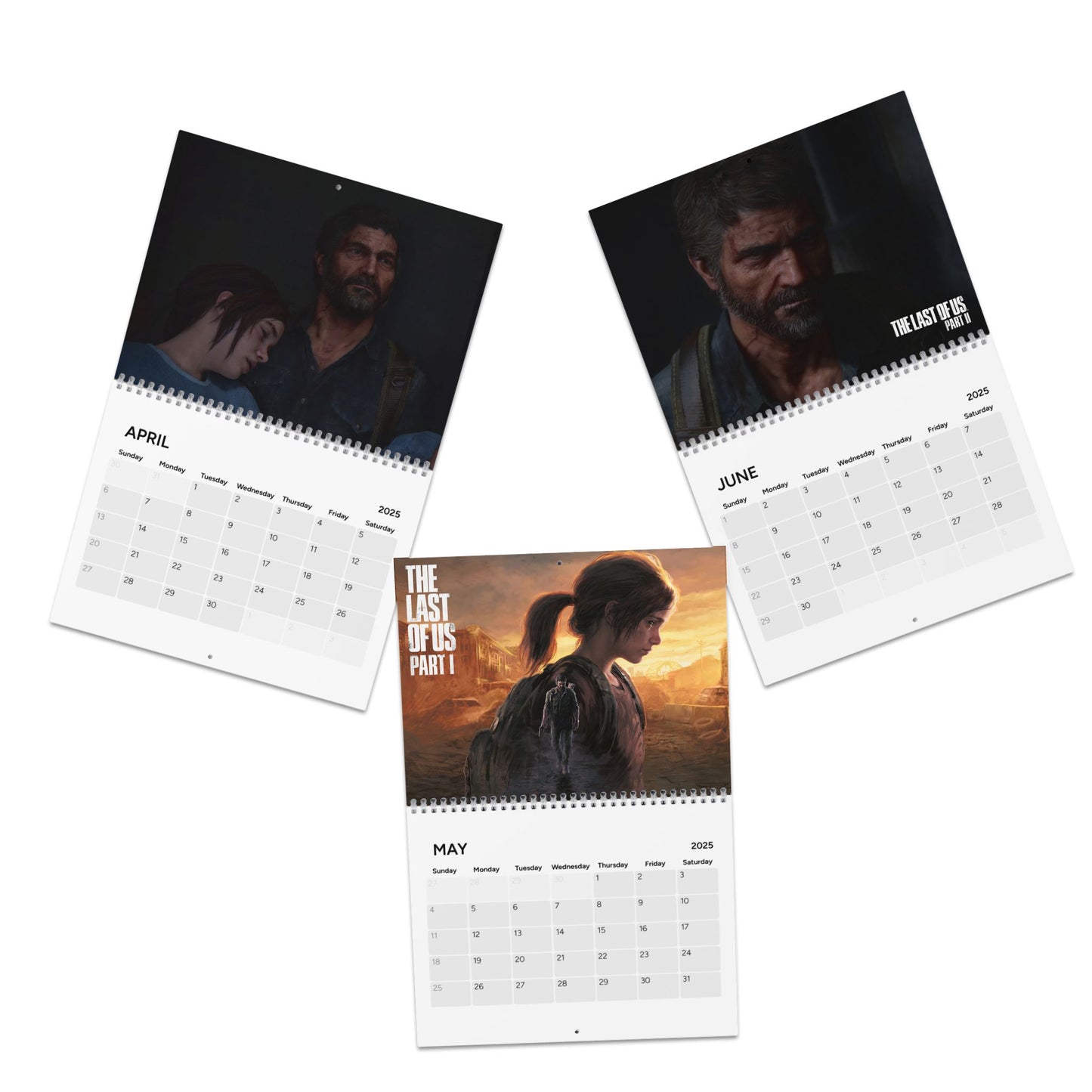 The Last Of Us  2025 Calendar, Video Game Calendar, 2025 Calendar, Wall Calendar, Desk Calendar,  Gift, Gaming Gift, Gamer Decor, Video Game