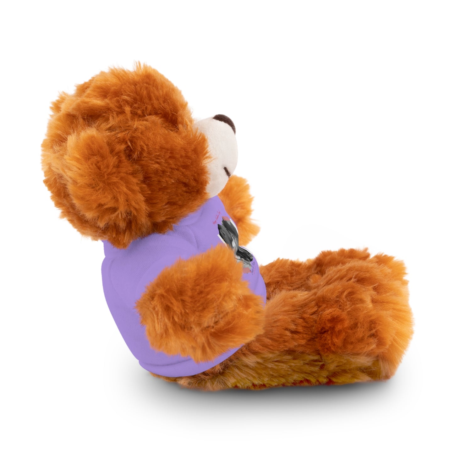 Personalize Your Name And Photo | Valentine Stuffed Animals with Tee