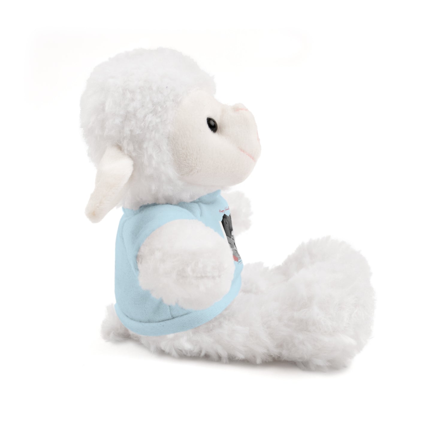 Personalize Your Name And Photo | Valentine Stuffed Animals with Tee