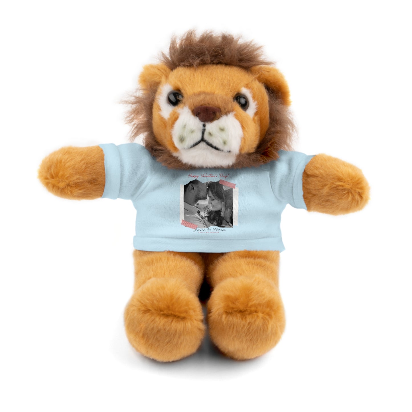 Personalize Your Name And Photo | Valentine Stuffed Animals with Tee