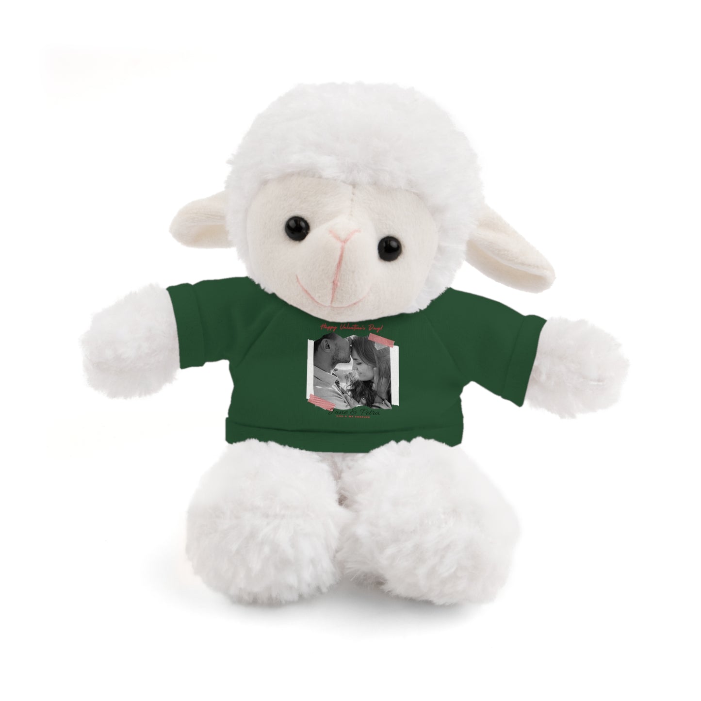 Personalize Your Name And Photo | Valentine Stuffed Animals with Tee