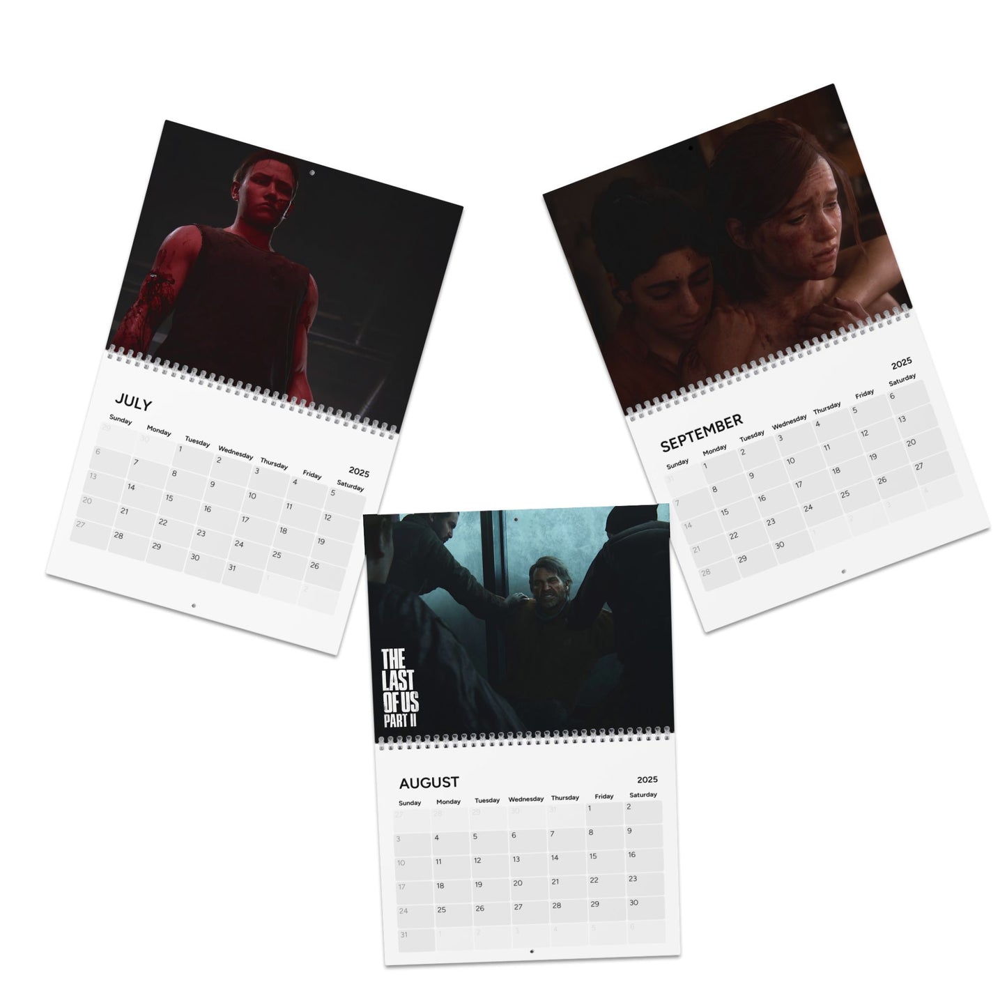 The Last Of Us  2025 Calendar, Video Game Calendar, 2025 Calendar, Wall Calendar, Desk Calendar,  Gift, Gaming Gift, Gamer Decor, Video Game