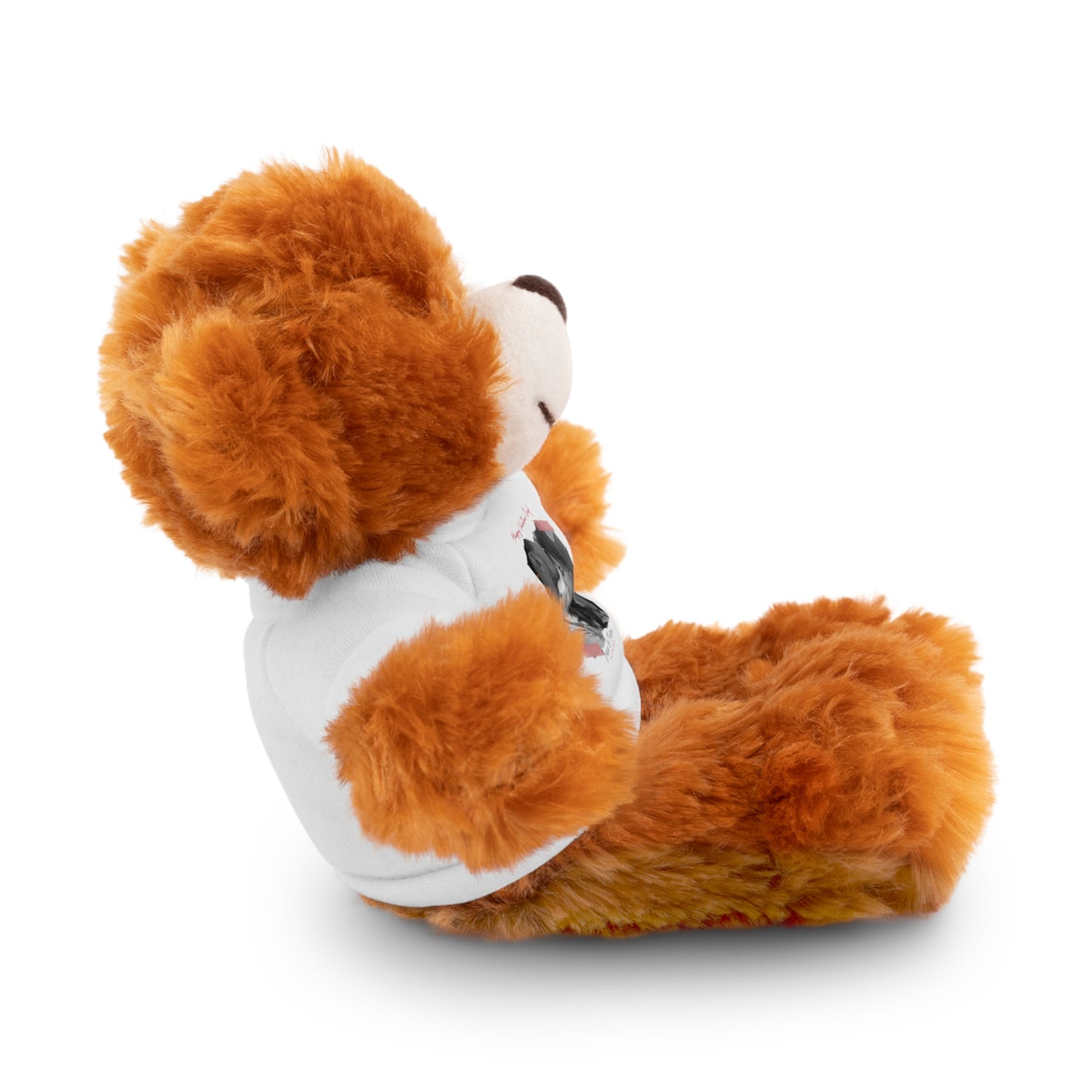 Personalize Your Name And Photo | Valentine Stuffed Animals with Tee