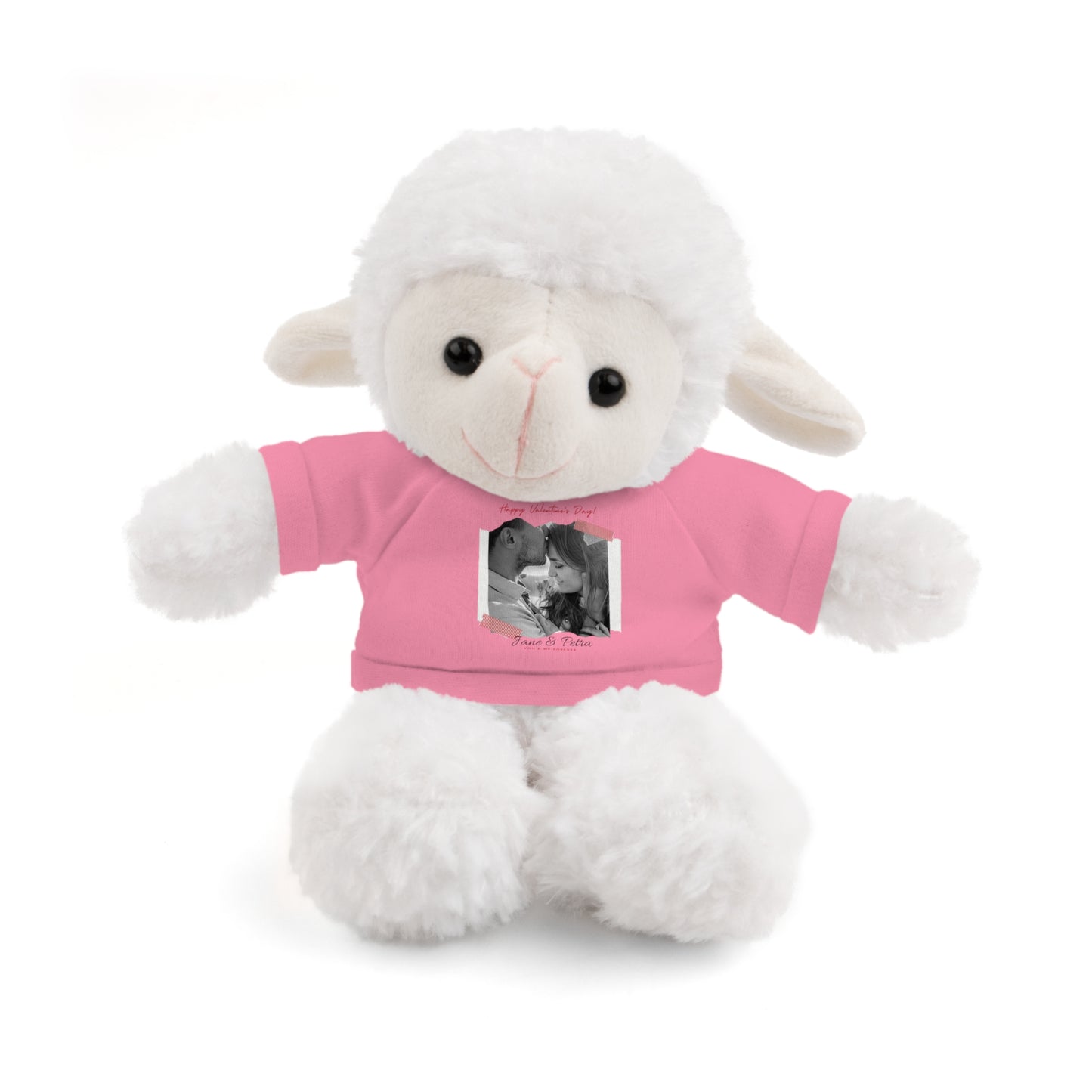 Personalize Your Name And Photo | Valentine Stuffed Animals with Tee